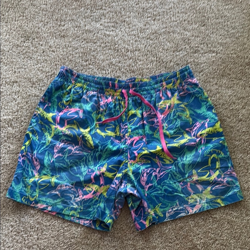Chubbies Swim Trunks Vibrant Design